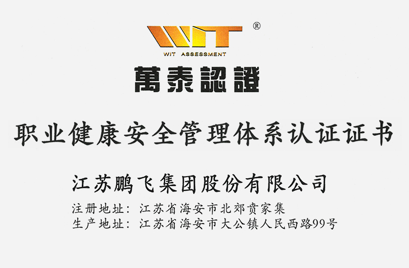 職業(yè)健康安全管理體系認(rèn)證證書(shū)